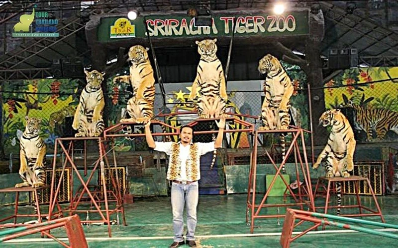 Siri Park and Zoo by Sriracha Zoo พัทยา สวนเสือศรีราชา